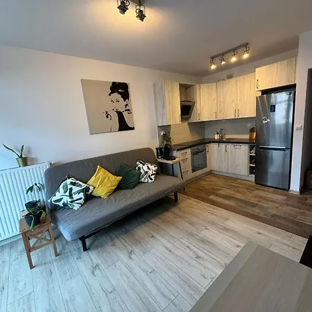 Cozy New With Balcony Poznan