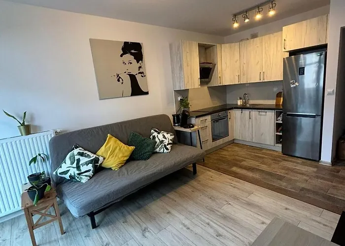 Cozy New With Balcony Познань