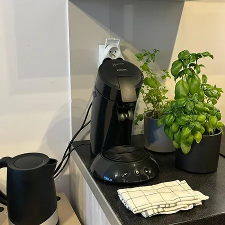 Cozy New With Balcony Appartement